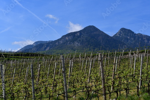 Schöne Landschaft bei Kaltern in Südtirol 