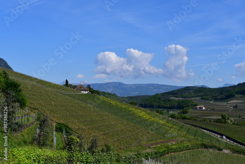 Schöne Landschaft bei Kaltern in Südtirol 