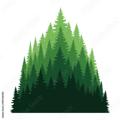 Coniferous forest vector illustration with pine and fir trees in a triangular mountain shape