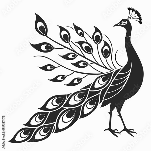 A striking black and white illustration depicts a peacock with its elaborate tail feathers gracefully displayed in a fan shape high quality