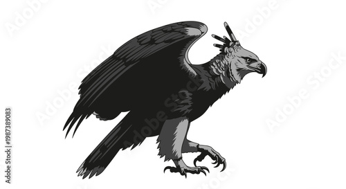 Detailed illustration of an eagle with spread wings and sharp talons on white background symbolizing freedom and power
