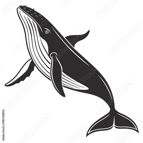 A striking black and white illustration depicts a humpback whale gracefully swimming showcasing its distinctive body shape and large flippers high quality