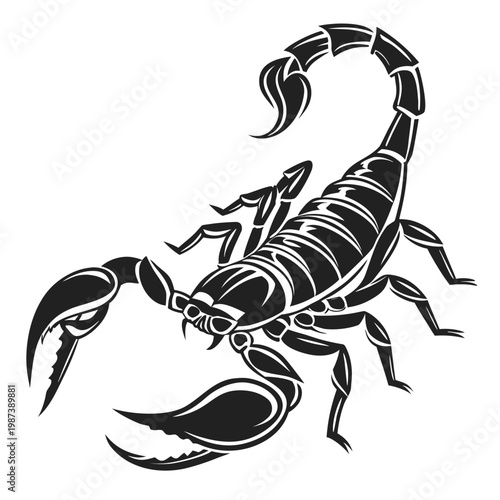 A detailed black and white graphic illustration depicts a scorpion with a curved tail and prominent claws showcasing its anatomy high quality