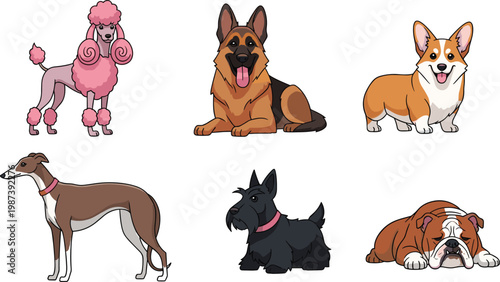 Flat Vector Cartoon Dog Breed Collection Featuring Poodle, German Shepherd, Corgi, Greyhound, Scottish Terrier, and Bulldog for Pet Care, Veterinary, and Animal Lover Designs