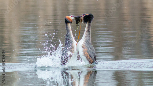 water fountain in the park