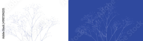 Delicate lace flower cyanotype botanical blue sunprint vector for classic nature plant specimen art