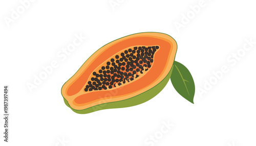 A papaya half illustration with green leaf on white background