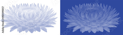 Dahlia flower cyanotype vector for luxury fashion print and ornate floral stationery