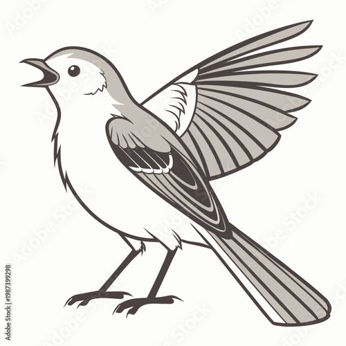 A detailed illustration showcases a small gray and white bird with wings outstretched appearing mid flight or song high quality professional modern