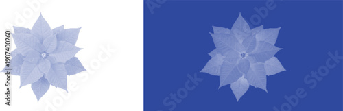 Star shape flower cyanotype botanical blue sunprint vector for organic vintage nature specimen design