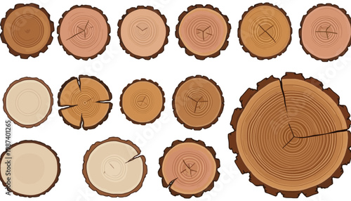 Tree stump vector illustration set with various brown cross sections