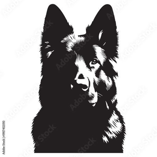 Serra da Estrela, Estrela Mountain Dog, Portuguese Shepherd, Livestock Guardian, Working Dog, Loyal, Protective, Brave, Intelligent, Powerful, Large Breed, Family Protector, Herding Dog, Guardian.