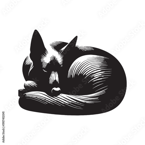 Serra da Estrela, Estrela Mountain Dog, Portuguese Shepherd, Livestock Guardian, Working Dog, Loyal, Protective, Brave, Intelligent, Powerful, Large Breed, Family Protector, Herding Dog, Guardian.