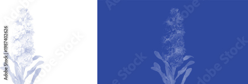 Foxglove bell cyanotype vector for fantasy book illustration and woodland theme decor