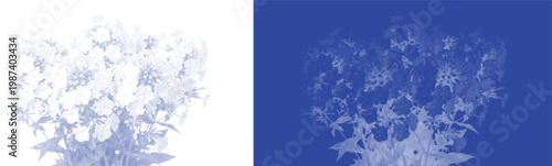 Hydrangea cluster cyanotype vector for bridal shower invitation and luxury event stationery