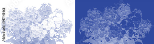 Wildflower bunch cyanotype vector for rustic fabric pattern and country style textile