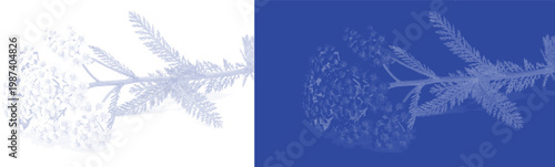 Leafy branch cyanotype vector for organic skincare branding and scandinavian home decor wallpaper