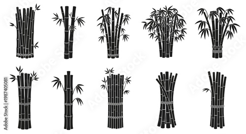 Collection of black bamboo stalks and plants on white background various styles and arrangements