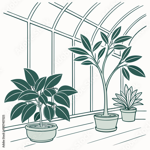 Potted plants in a greenhouse indoor gardening