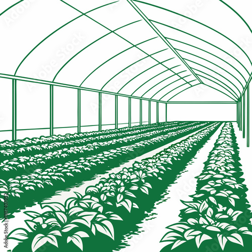 Large greenhouse with rows of plants indoor gardening