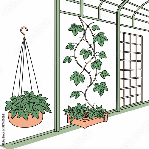 Greenhouse with potted plants and hanging basket