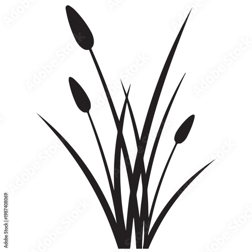 Minimalist black silhouette of cattails and marsh reeds vector illustration for nature and wetland design