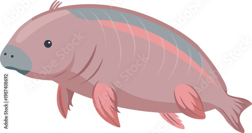 Minimal Flat Vector Sea Pig Deep Sea Scotoplanes Marine Creature Illustration