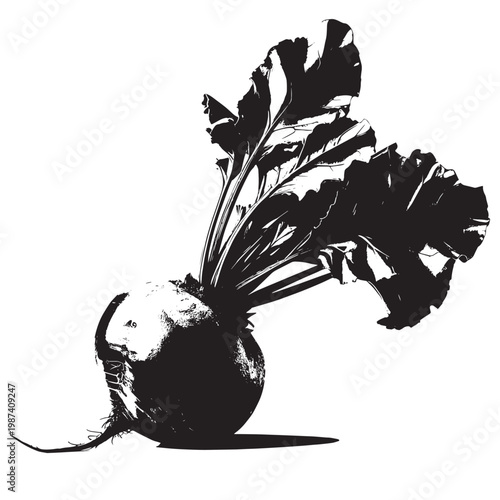 Black and white sketch illustration of a plant in a vase beside a radish and a potted plant in a vintage nature pattern design