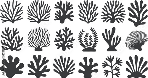 Collection of various coral reef silhouettes in different shapes and sizes on white background