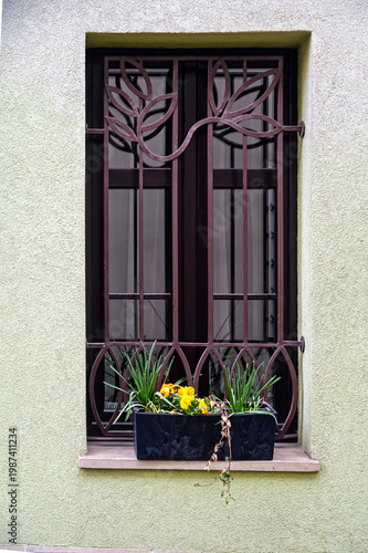 Window with flower boxes and metal bars is seen on a green wall during daytime