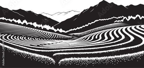 Black and white, mountainous landscape, rice terraces, minimalist vector illustration, scenic countryside