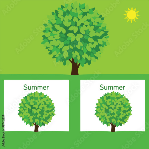 Tree with Green Leaves in Summer Season.