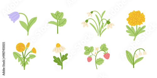 Flower and plants set. Flat floral collection. Cute cartoon botany bundle.
