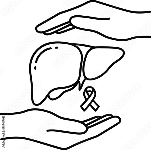 Liver awareness, organ donation, hands holding liver with purple ribbon, health concept, medical illustration