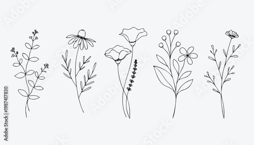 five-separate-minimalist-botanical-line-compositio.eps