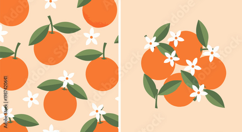 Minimalist orange fruit seamless pattern and vector illustration set, citrus blossom floral background, summer food wallpaper for textile design