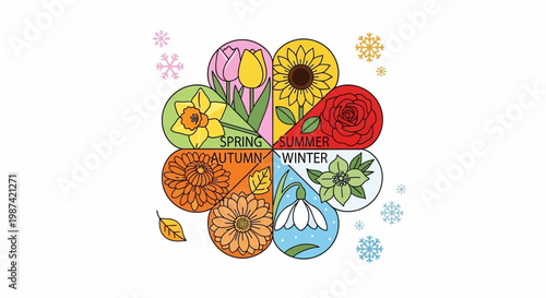 Colorful seasonal flowers illustration on white background depicting a circle