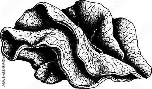 A hyper-detailed macro shot of "mushroom leather" (mycelium). Focus on the irregular, velvety texture and soft organic veins. Natural, low-contrast earthy lighting.