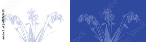 Cluster of Bell Flowers in Blue Cyanotype Botanical Design