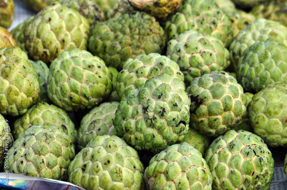 Fototapeta premium Custard Apple