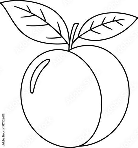 Peach Fruit Vector Outline with Leaves Simple Line Art for Food and Health Concepts