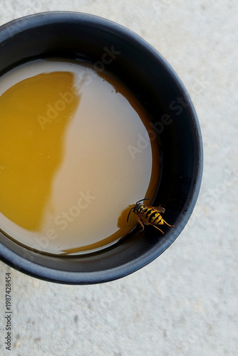 Foto Bee floating in a black cup of liquid on a light surface