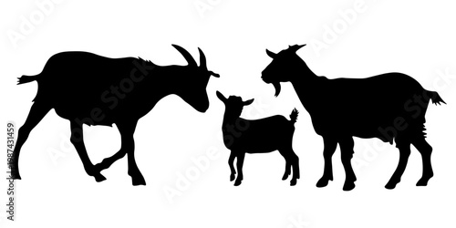 Set of goat silhouettes including adult goats and kid. Clean black shapes isolated on white background. Ideal for agriculture, farming, branding and design projects.