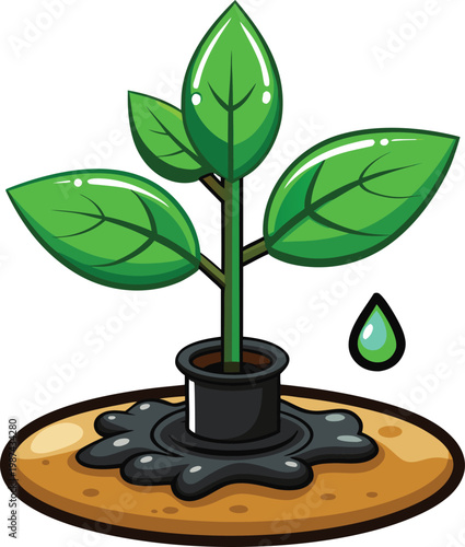 Green Leafy Plant in Black Pot with Water Droplet for Water Conservation Strategies Isolated on Transparent Background and Eco-Conscious Environmental Awareness Content