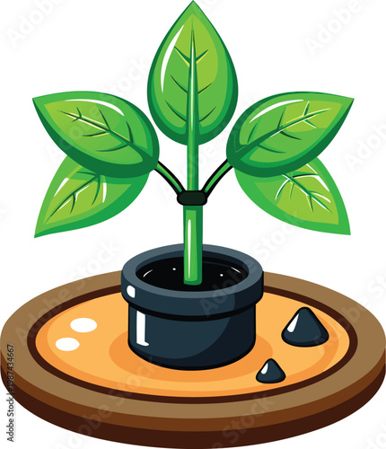 Green Leafy Plant in Black Pot Representing Water Conservation Strategies and Eco-Friendly Living Isolated on Transparent Background and Eco-Conscious Environmental Awareness