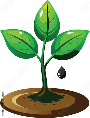 Young Green Plant Sprouting from Water Droplet for Water Conservation Strategies Isolated on Transparent Background and Eco-Conscious Environmental Awareness Content