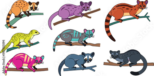 Colorful Civet and Viverrid Collection with Various Exotic Mammal Species Perched on Branches