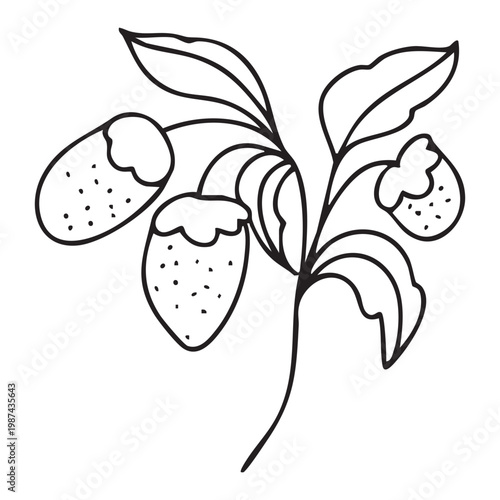 Hand drawn vector illustration of a garden with three strawberries on a branch. The strawberries are detailed with leaves and a simple design.