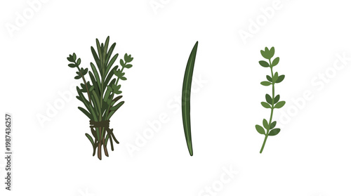 Different types of green plant leaves.