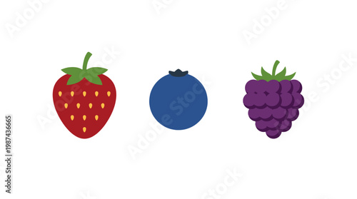 Set of fresh summer berries including strawberry blueberry and blackberry vector illustration.